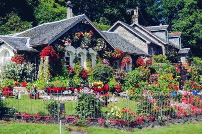 Consejos para un jardín de primavera exitoso 1 00header