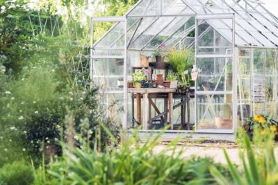 Instala un invernadero en tu jardín 1 10329 0 1