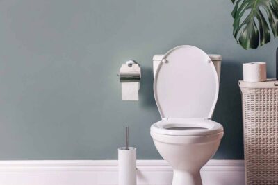 ¿Inodoro, con o sin borde? 1 10400 0 1