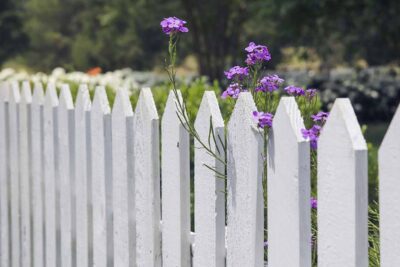 Valla de jardín: cómo separar tu jardín del de tu vecino 1 10401 0 1
