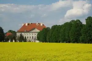 Las mejores áreas para crowdfunding en el campo de bienes raíces en mayo de 2025