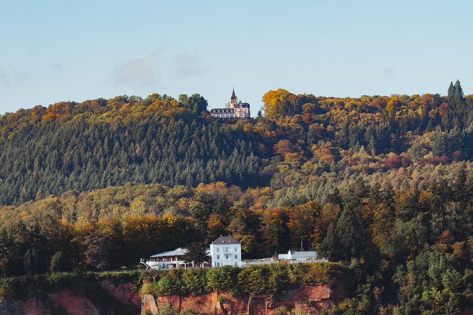 Perth, mercado inmobiliario residencial - febrero de 2025 1 Perth, mercado inmobiliario residencial - febrero de 2025