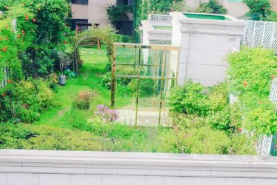 El techo verde, una idea que ha germinado bien 1 green rooftop e1601630344787