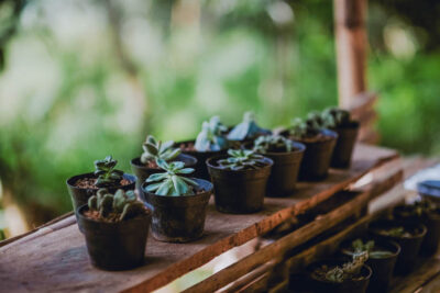 Por qué invertir en bienes raíces es la elección correcta 1 k50 bady qb 490204 unsplash g