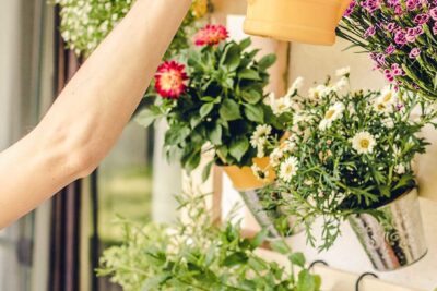 Minihuerto, máxima satisfacción: de camino a tu minihuerto privado 1 shutterstock 1130990270 e1630918367279