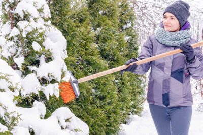 Jardinería en invierno: dale a tu jardín la oportunidad de recargar pilas 1 shutterstock 1913340469