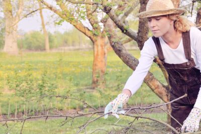 Jardinería en otoño: las últimas actuaciones antes del invierno 1 shutterstock 37682983