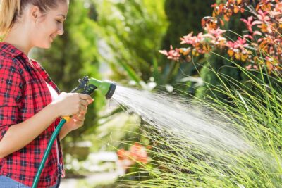 Un jardín lleno de vida en verano: el paraíso terrenal en 8 pasos 1 shutterstock 488574238
