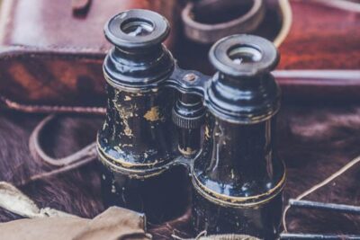 Un anuncio impecable para resaltar su propiedad en alquiler 1 vh21 binoculars field glasses vintage 175744 g e1563894172211
